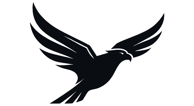 Blackhawk Valves hawk logo